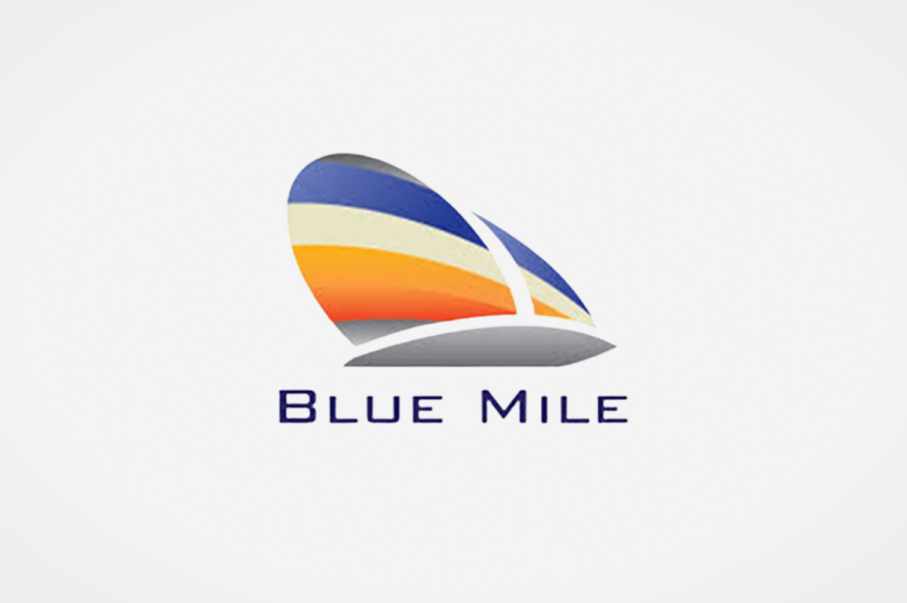 blue mile website development